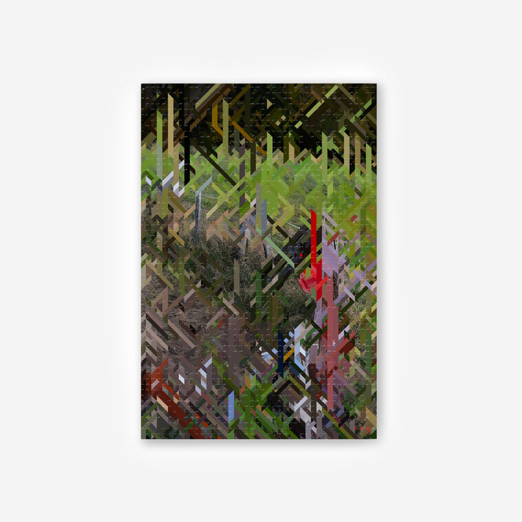 Horses Habitat – Edition